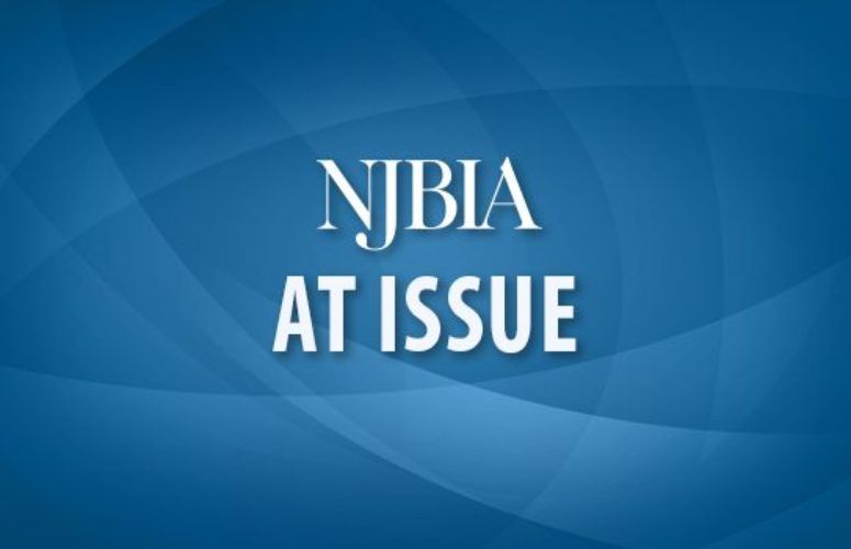 NJBIA At Issue